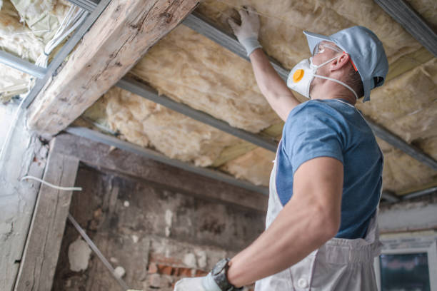 Best Insulation for Specific Applications in Hoyt Lakes, MN
