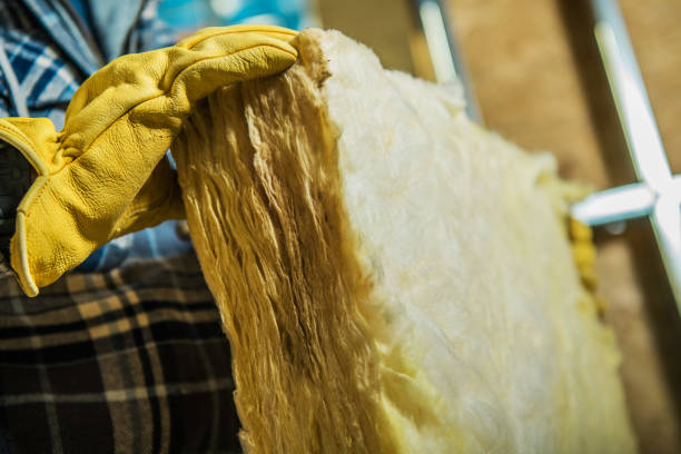 Best Specialty Insulation in Hoyt Lakes, MN